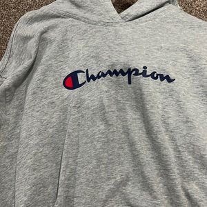 grey champions hoodie